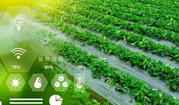 AgTech: Technologies Revolutionizing Agriculture