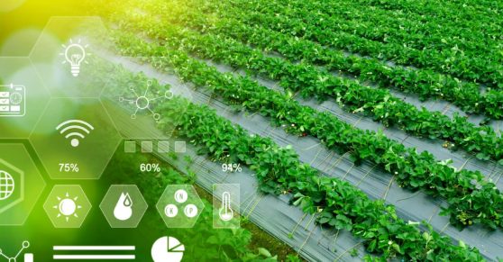 AgTech: Technologies Revolutionizing Agriculture